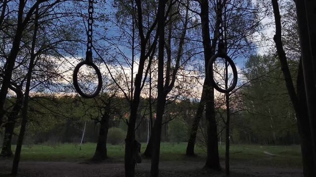 Sport equipment - gymnastic athletic rings hanging in action in the forest on the fresh air on sunset blue sky background among pine trees. Spring bright colors. No people