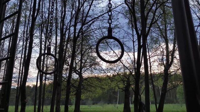 Sport equipment - gymnastic athletic rings hanging in action in the forest on the fresh air on sunset blue sky background among pine trees. Spring bright colors. No people