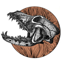 Dog Skull With Hard Upper Jaw and Sharp Teeth © Arif