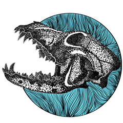 Dog Skull With Hard Upper Jaw and Sharp Teeth © Arif