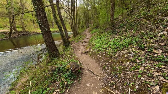 Narrow path winds beside a flowing stream. Mount Ozren, Sokobanja, Serbia