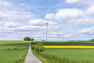 wind turbine at the meadow deliveres renewable sustainable wind energy © travelview