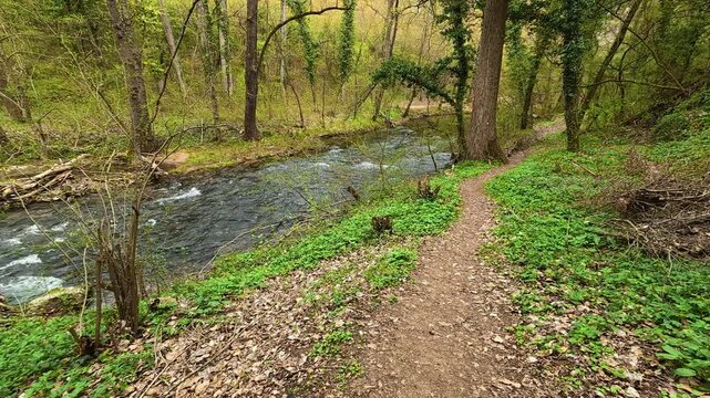 River flows beside a forest path. Mount Ozren, Sokobanja, Serbia