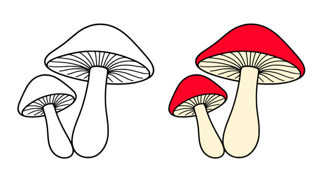 Mushroom illustration, line art and colored icon, for coloring page