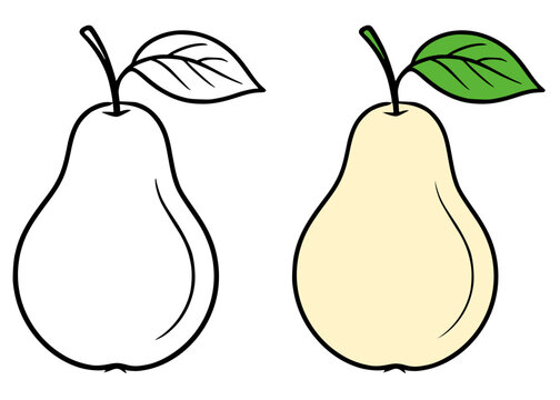 Pear fruit illustration, line art and colored icon, for coloring page