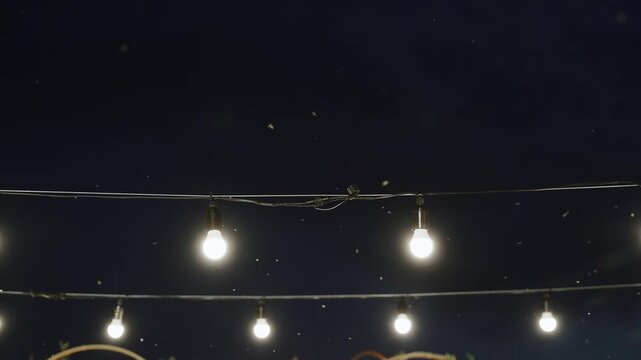 Many mosquitoes and moths fly at night near glowing bulbs of garland on wires. Attraction for blood sucking insects and inconvenience of outdoor parties and festivals due to need for repellents.