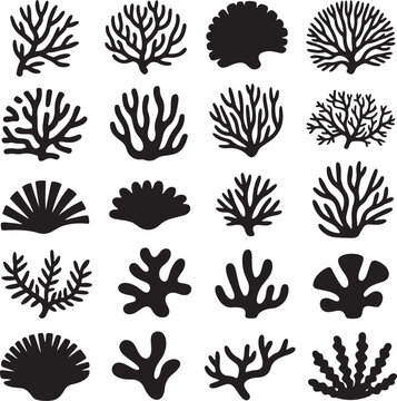 Set of black silhouettes of underwater coral polyps and seashells on transparent background.
