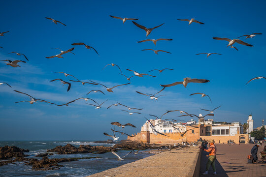 Essaouira 2026