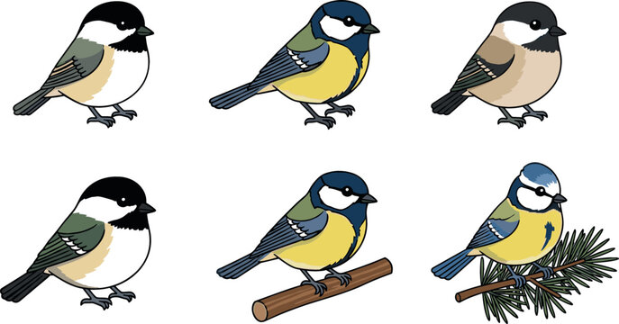 Vector illustration set of small garden birds including great tit chickadee and blue tit perched on branches for nature wildlife and birdwatching design.