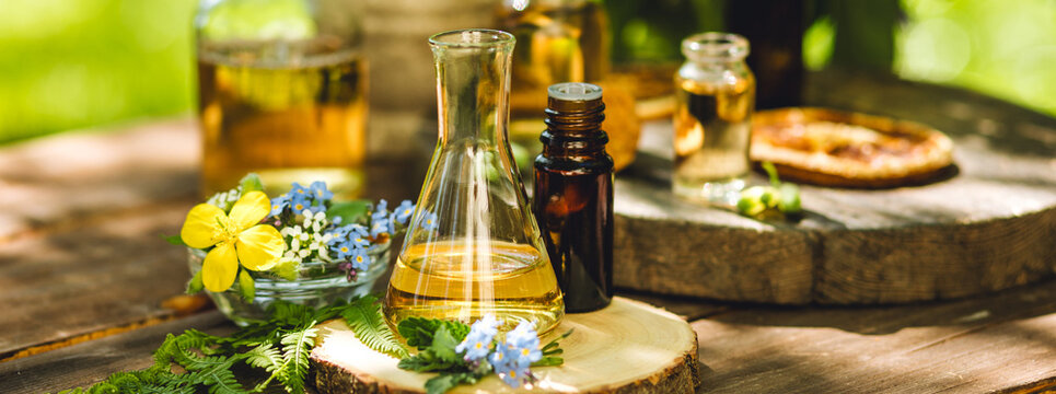 Banner. Natural ingredients in cosmetic and medicine. Assortment of organic essential oils in bottle, herbal extracts and medical flowers herbs. Alternative therapy, aromatherapy. Perfumery production