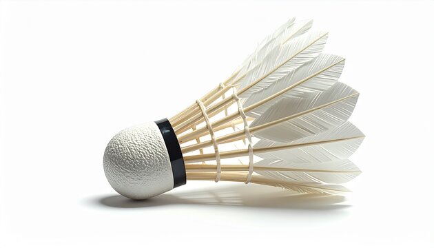  shuttlecock, generic  badminton feather