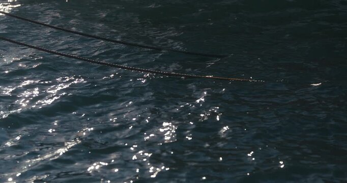 Ropes stretched across the sea surface with sunlight reflections on water in Rovinj, Istria, Croatia.