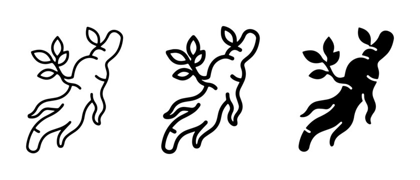 Ginseng Root Icons, Herbal Medicine Vector Illustrations, Natural Health Symbols