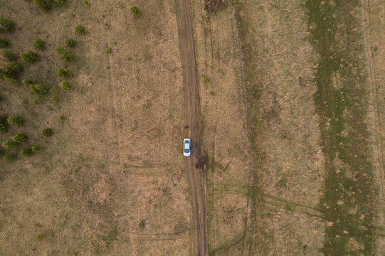 Top drone view of car on dirt road crossing dry grass field in countryside