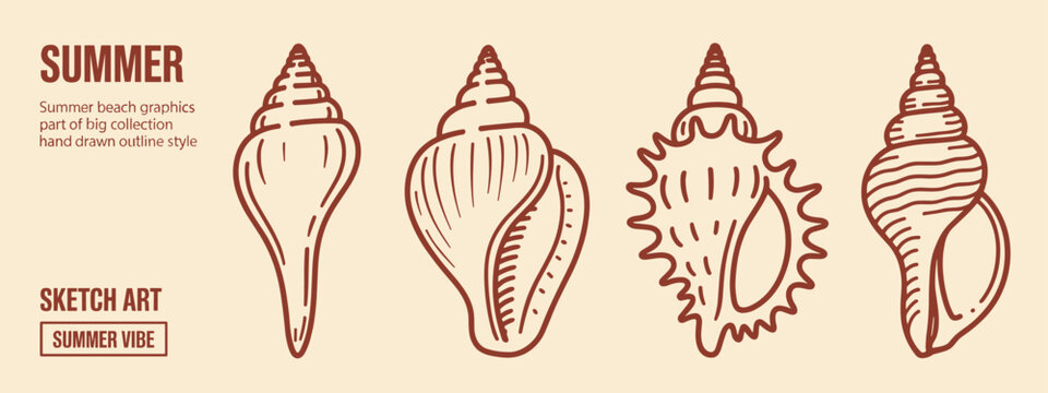 Four hand drawn outline style seashells in brown on a beige background with summer text conch marine