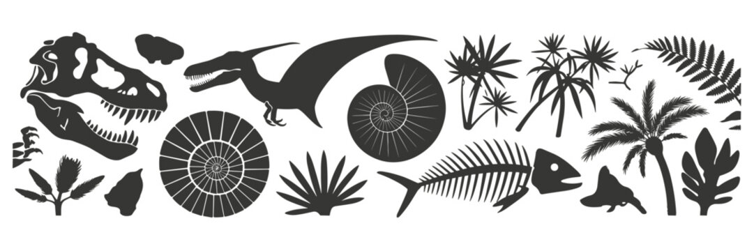 Dinosaur skull pterodactyl ammonite fish skeleton and prehistoric plants silhouettes tyrannosaurus rex skull