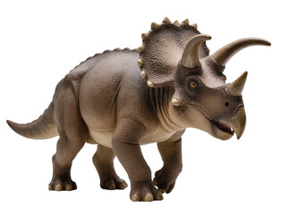 Isolated Triceratops dinosaur model, prehistoric creature with three horns, formidable frill © David