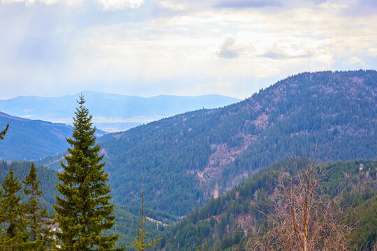 Scenic mountain landscape with dense forest and distant hills on cloudy day