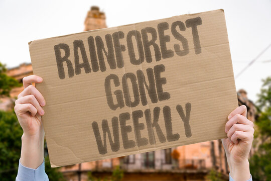 "Rainforest Gone Weekly" Tropical rainforest cover is being permanently removed at a rate equivalent to a football field per second. TROPICAL. PERMANENTLY. REMOVED. EQUIVALENT. SECOND.