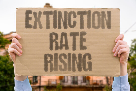 "Extinction Rate Rising" The current rate of species extinction vastly exceeds all documented previous non-mass extinction baselines. CURRENT. VASTLY. EXCEEDS. DOCUMENTED. BASELINES.