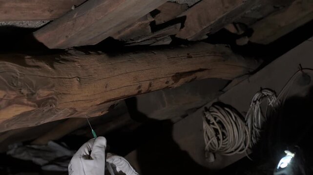 Pest control expert injecting insecticide into wooden beams