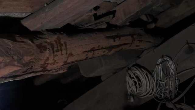 Carpenter applying woodworm treatment to old wooden beams