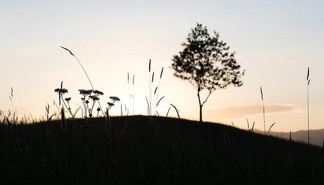 Silhouette tree on hill at sunset.