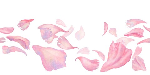Floating watercolor pink peony petals arranged in an airy horizontal banner. Botanical seamless pattern for feminine branding, wedding invitations, packaging, greeting cards, and modern stationery © el_suhova