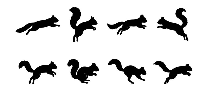Squirrel Silhouette Animation Sequence, Jumping Rodent Motion Graphics