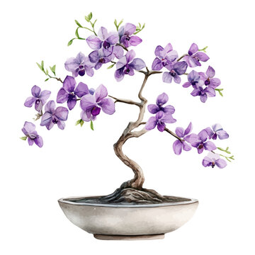 Purple Orchid Tree Bonsai, watercolor clipart vector, isolated on a white background.