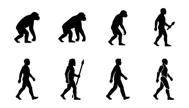 Evolutionary Stages Silhouettes: Primate to Human, Concept Vector Art