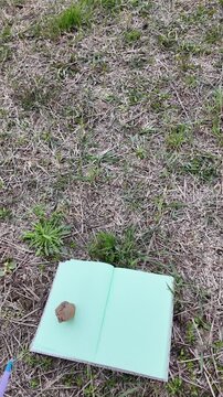 Top view of a hand arranging a notebook on dry grass, holding pages with a stone and placing a pen, soil thermometer and pH meter in a clean composition. Step-by-step setup of agricultural tools