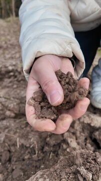 Close-up shot of a hand holding a clump of brown plowed soil and gradually crumbling it so that the earth falls and breaks apart in the fingers. Suitable for agriculture, environmental science, soil