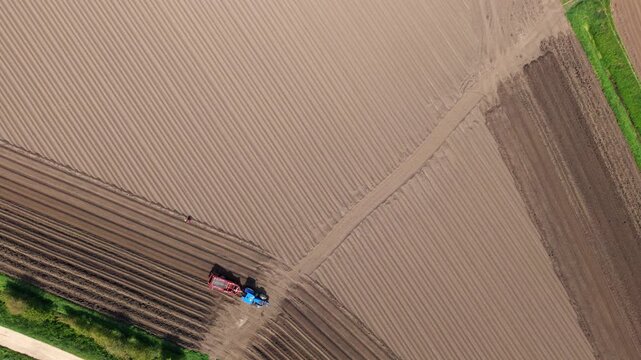 Aerial view of a blue tractor with a red trailer working in tilled brown soil fields with parallel ridges in Knottingley, England, United Kingdom.