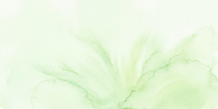 A bright abstract green floral background featuring soft spring bokeh light over a summer meadow with blurry grass and sunlit leaves for a beautiful nature design
