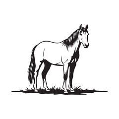 Fototapeta premium Elegant Horse Silhouette Standing in Grass - Vector Illustration