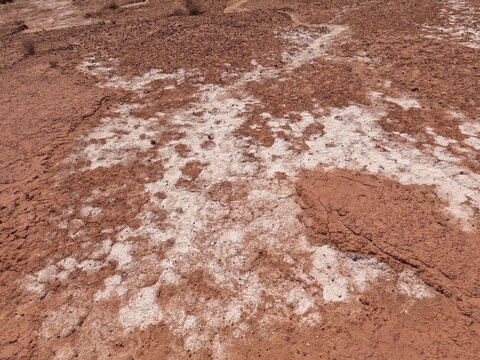 white salt deposits spreading across dry, reddish desert soil In arid environments