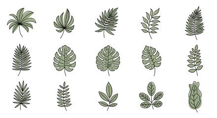 Collection of various green tropical leaves arranged in rows on a white background with a natural and earthy feel. © ahmad