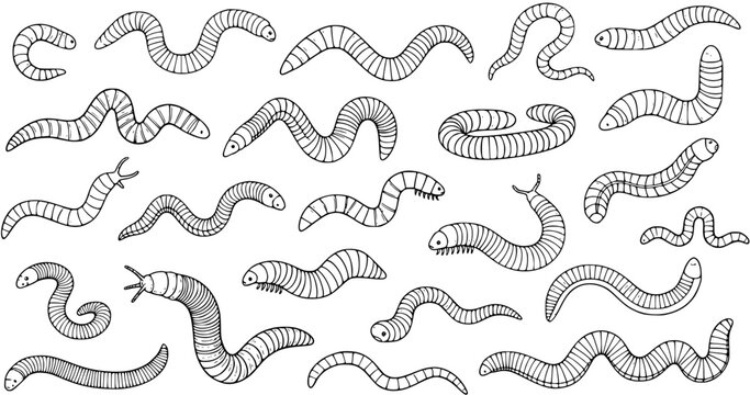 Seamless Hand-Drawn Doodle Pattern of Cute Cartoon Worms and Larvae. Black and White Outline Illustrations of Garden Worms, Earthworms, and Larva in Various Poses.