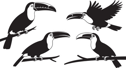 Fototapeta premium Black and white silhouette of four toucans perched on branches and one in flight