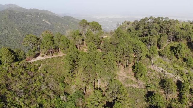 Aerial drone view of lush pine forests in the Margalla Hills overlooking the distant skyline of Islamabad Pakistan