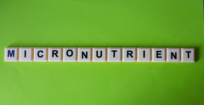 Scrabble Tiles Spelling Micronutrient on Green Background