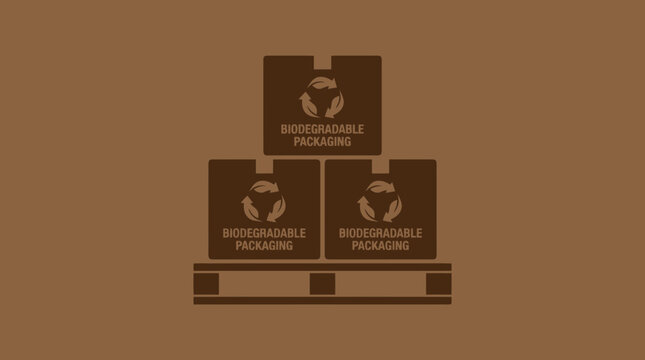 Biodegradable Packaging Boxes for Delivery