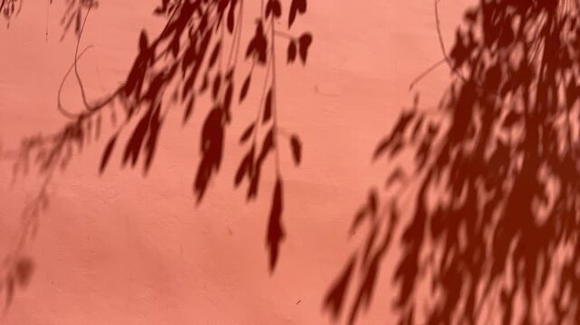 Light sunny natural red wall