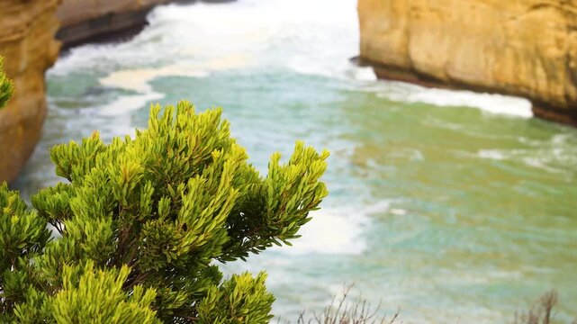 Loch ard gorge coastline with lush green foliage and dynamic ocean waves, cinematic footage of nature.