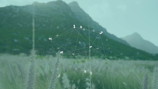 Appearing above grasses, hologram wireframe drifting and rotating, shedding motes, visualizing data