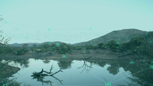 Faint cyan overlay starting teal nodes flowing to pond, settling by log and branch, mapping network