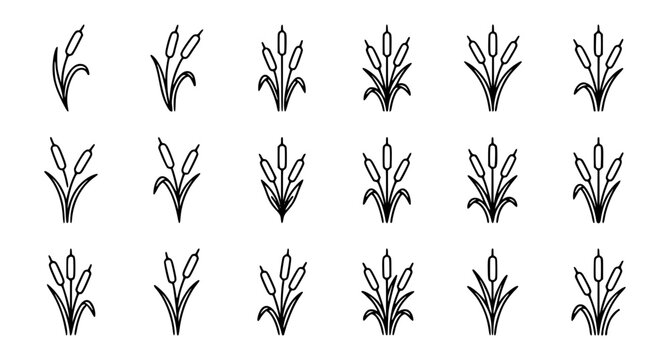 Simple cattail reed line art logo icons with modern botanical minimalist vector style