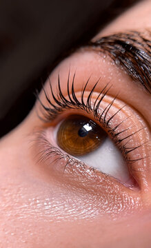 Lash lamination procedure eyelash lifting and beauty eye close-up	