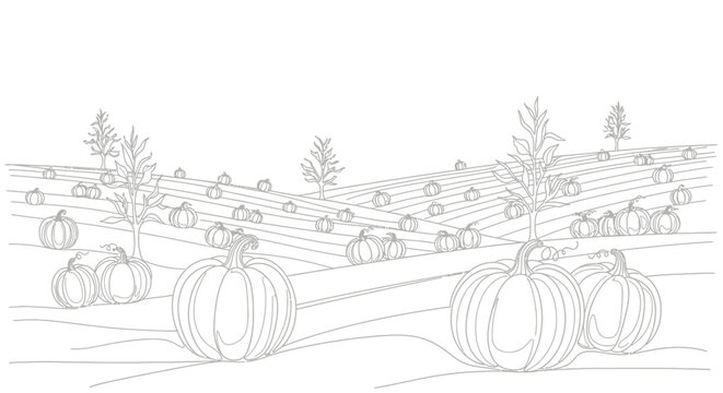 Pumpkins in a field illustration.